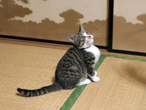 少し息抜き_d0355333_17024843.jpg