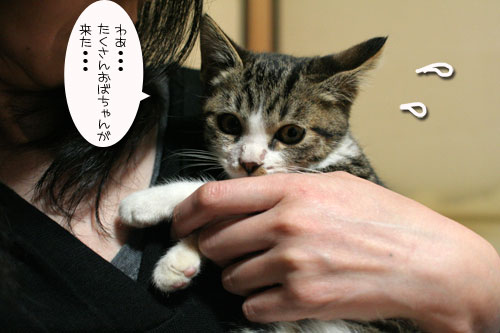 少し息抜き_d0355333_17024859.jpg