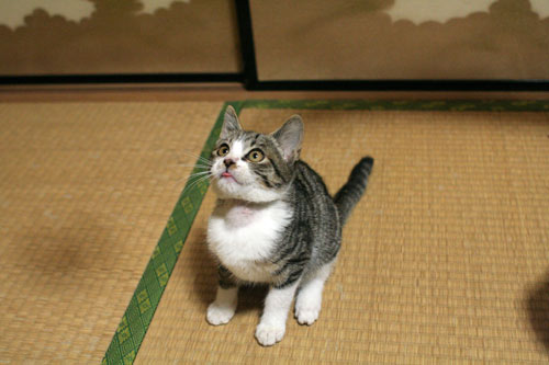 少し息抜き_d0355333_17024961.jpg