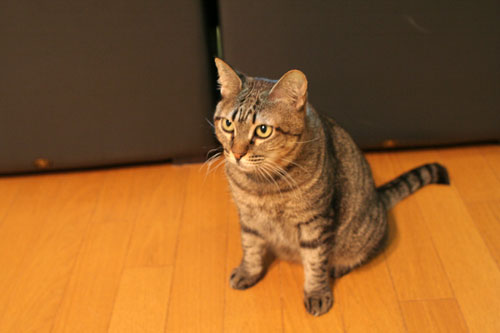 踏ん張って_d0355333_17025358.jpg