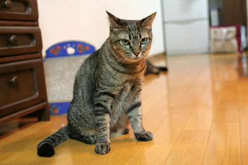 踏ん張って_d0355333_17025368.jpg
