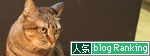 踏ん張って_d0355333_17025384.jpg