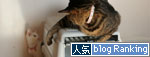 子猫の方が上手。_d0355333_17025975.jpg