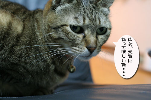 供血終了!_d0355333_17030153.jpg