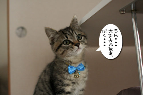 祝★あきほちゃん卒業★_d0355333_17030924.jpg