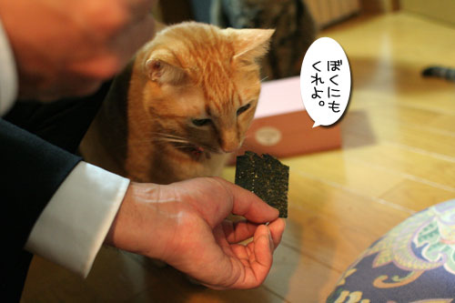 元気が一番_d0355333_17031050.jpg