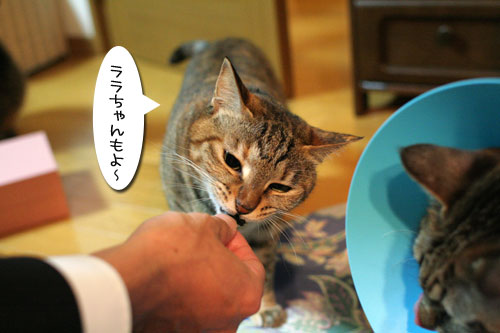 元気が一番_d0355333_17031150.jpg
