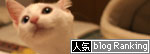 ボツにするには惜しい_d0355333_17031275.jpg