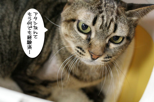 供血部隊到着!_d0355333_17031403.jpg