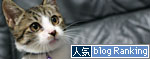 ワクチンだってへっちゃら_d0355333_17033319.jpg