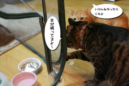 復活の狼煙を上げよ!_d0355333_17033729.jpg