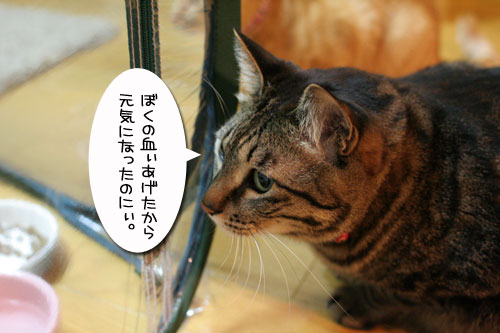 復活の狼煙を上げよ!_d0355333_17033752.jpg
