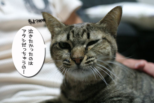 笑顔が戻った日_d0355333_17034117.jpg
