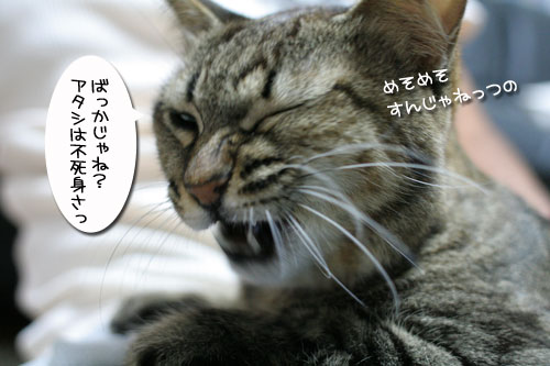 笑顔が戻った日_d0355333_17034148.jpg