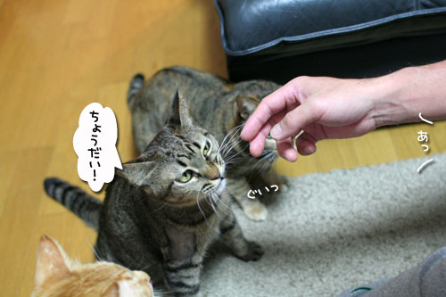 復活はやっぱり海苔で_d0355333_17035242.jpg