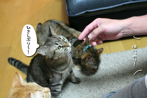 復活はやっぱり海苔で_d0355333_17035296.jpg