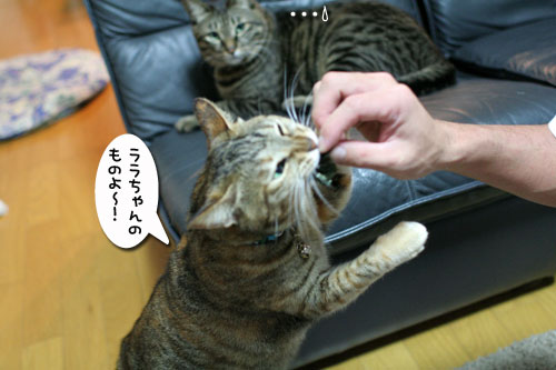 復活はやっぱり海苔で_d0355333_17035326.jpg