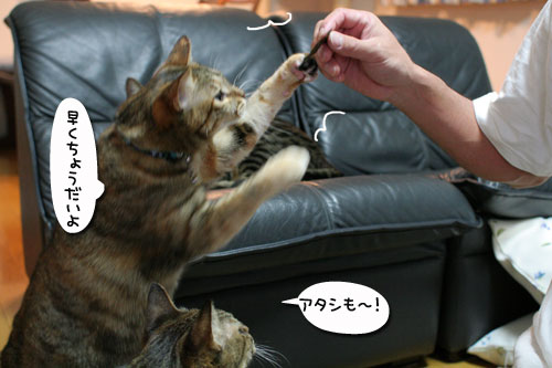 復活はやっぱり海苔で_d0355333_17035351.jpg