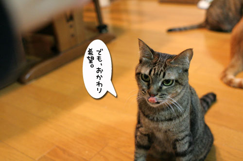 アンテナぴ~ん!_d0355333_17035692.jpg