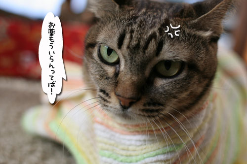 よだれかけ姿_d0355333_17040162.jpg