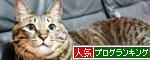 ほんとうの縁_d0355333_17041437.jpg