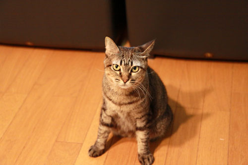 ほんとうの縁_d0355333_17041599.jpg
