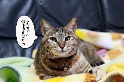 全快とはいかないけれど_d0355333_17042202.jpg