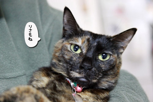 全快とはいかないけれど_d0355333_17042275.jpg