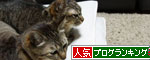 全快とはいかないけれど_d0355333_17042279.jpg
