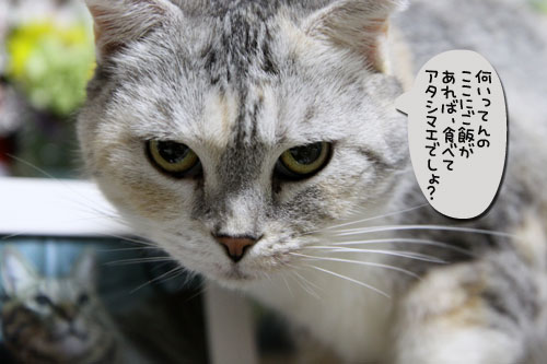 天国へ送り出すということ_d0355333_17042391.jpg