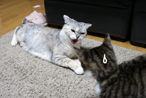 そんなに・・・_d0355333_17042422.jpg