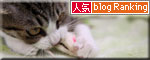これだけは渡さへん★奈良県で供血のお願い_d0355333_17043196.jpg
