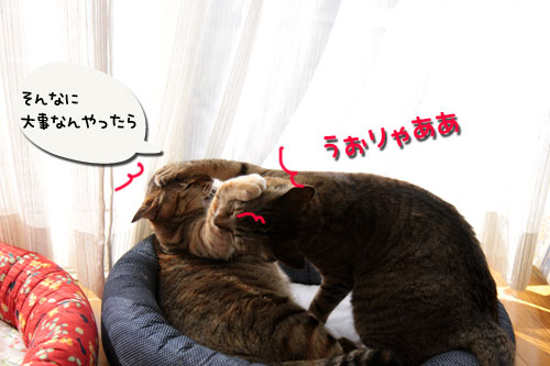 食いもんの恨みは_d0355333_17043712.jpg