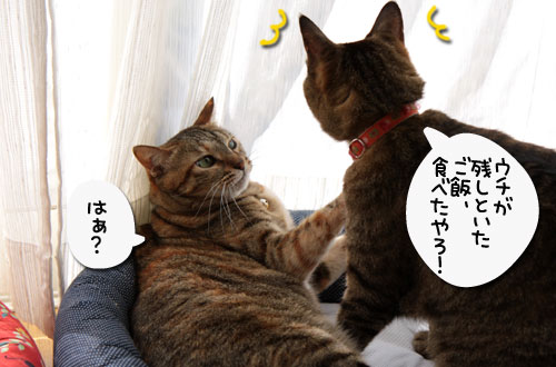 食いもんの恨みは_d0355333_17043747.jpg