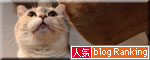 怒涛の2008年_d0355333_17044382.jpg