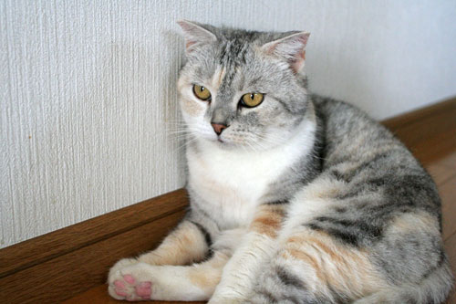 怒涛の2008年_d0355333_17044811.jpg