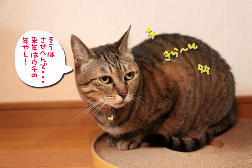怒涛の2008年_d0355333_17044986.jpg