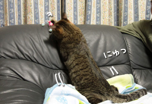 8歳だってまだまだこれから!_d0355333_18550408.jpg