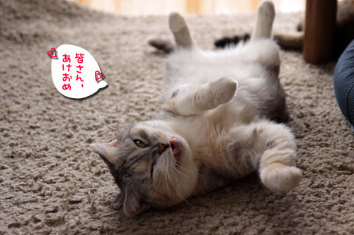 あけましておめでとうございます_d0355333_18550874.jpg