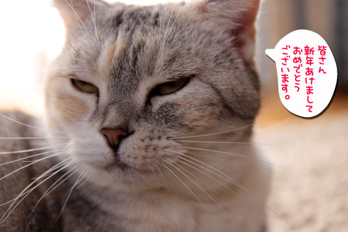 あけましておめでとうございます_d0355333_18550987.jpg