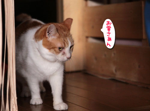 大切なのは_d0355333_18551942.jpg