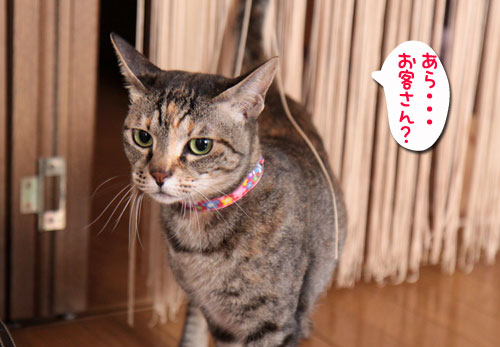 大切なのは_d0355333_18552090.jpg