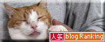 大切なのは_d0355333_18552409.jpg