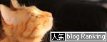 ちゃとらんの哀しみ_d0355333_18552590.jpg