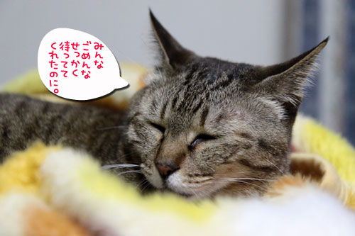 実はクロスマッチへ_d0355333_18553003.jpg