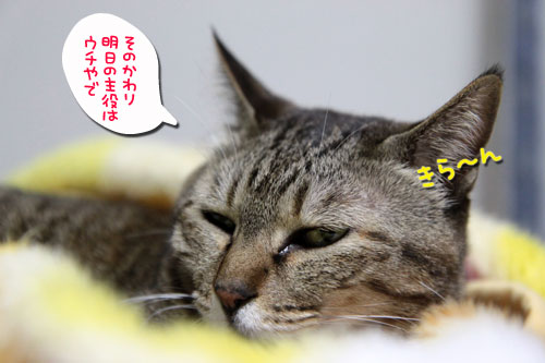 実はクロスマッチへ_d0355333_18553090.jpg
