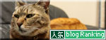 人面猫_d0355333_18554026.jpg