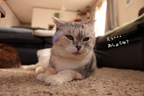 しょうゆはダメでしょ!_d0355333_18554433.jpg