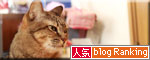 どすこい!_d0355333_18574399.jpg