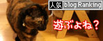 東京マラソンの準備_d0355333_19001200.jpg